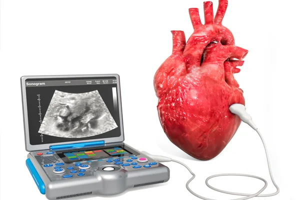 Echocardiography 2D And 3D